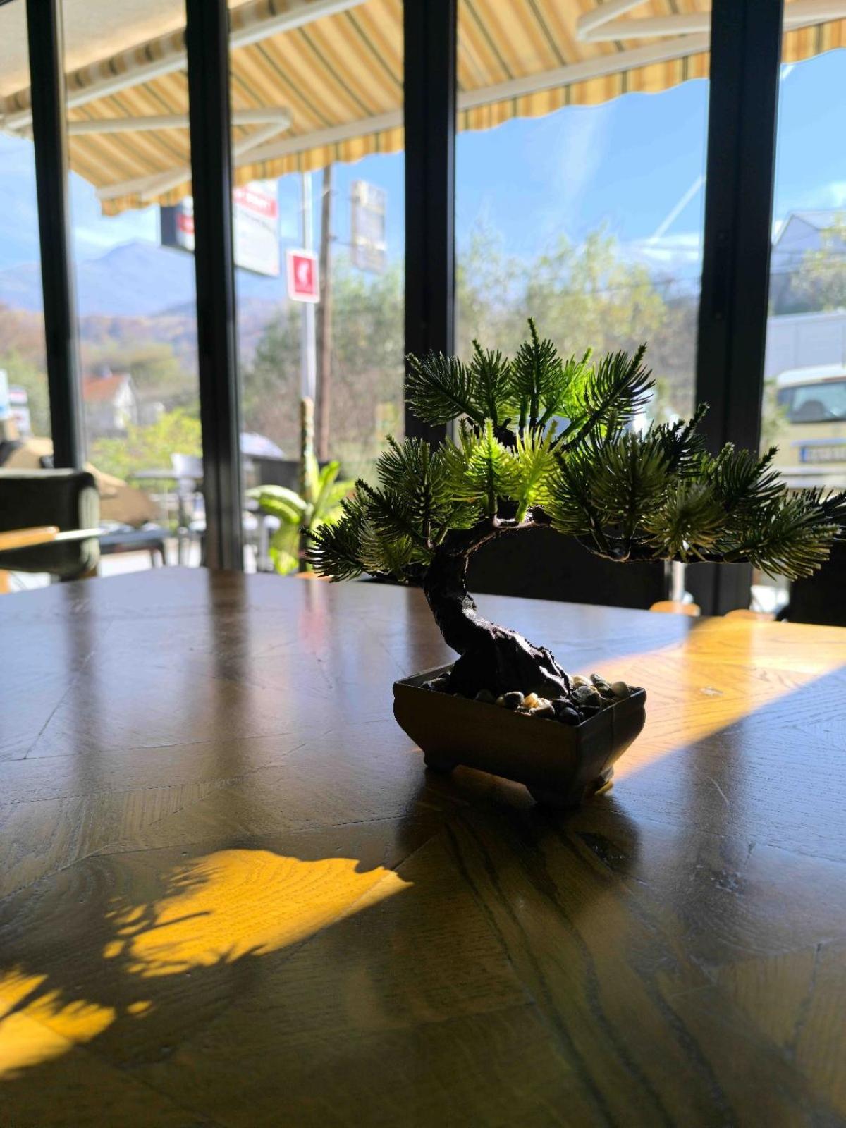 Mountain House - Brezovica Apartman Kültér fotó